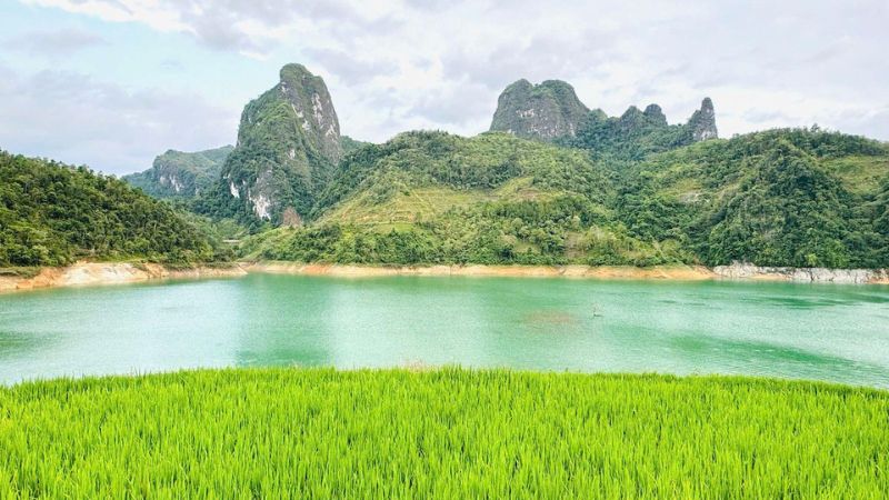 Dong Xanh - Dong Nghe Lake