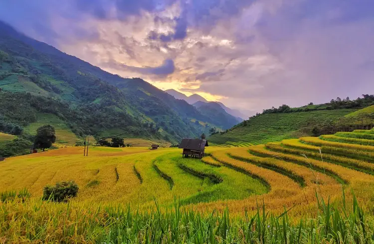 y-linh-ho-village-terrace